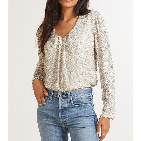 Allison Joy Medium M Light Gray Nina Matte Sequin V Neck Long Sleeve Blouse Top - Picture 10 of 11